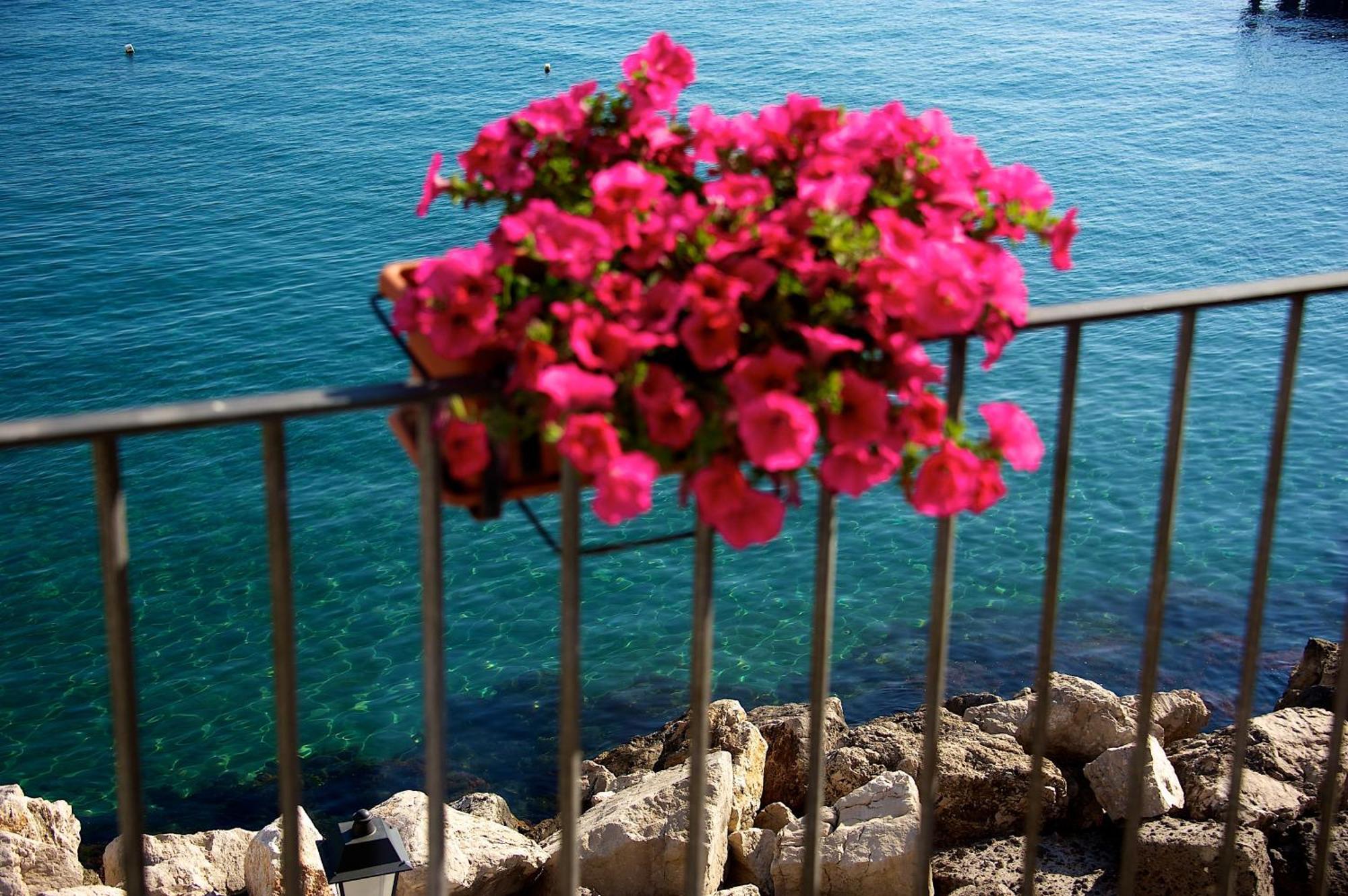 Villa Lieta Ischia Bagian luar foto